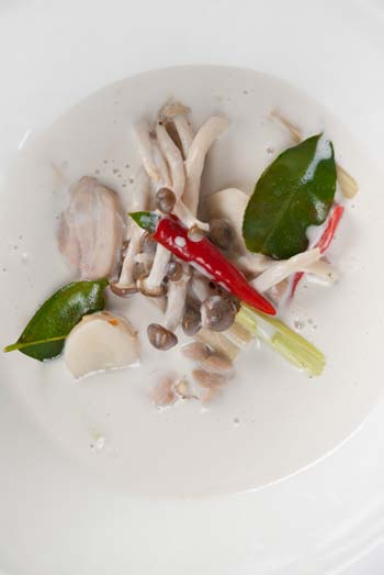 Photo of Coconut Chicken Soup